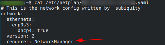 netplan config