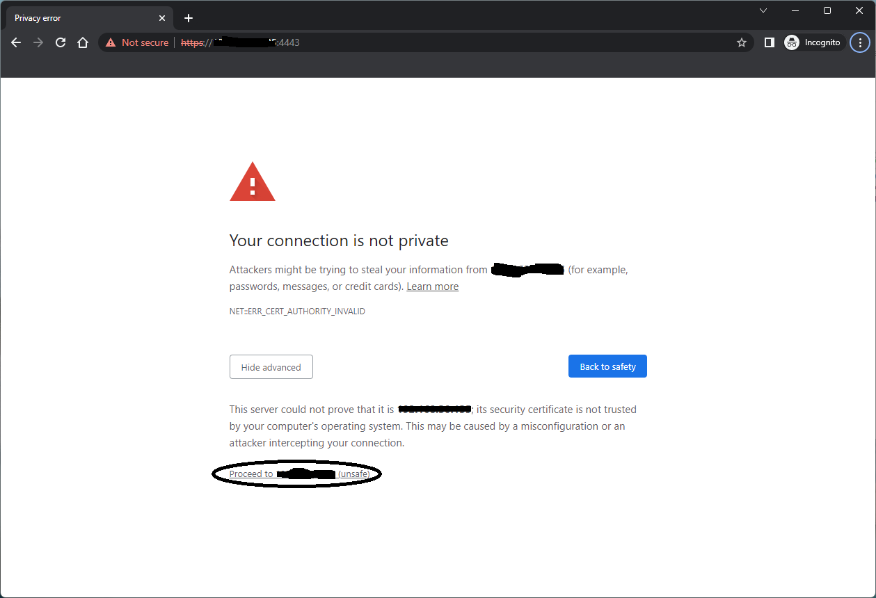 0006-IEMaaV-Access-In-Browser-2